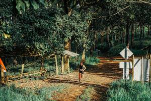 BIB: 
                            <button type="button" onclick="openModal(25651985)" class="btn btn-primary btn-sm float-right btn-popup" data-toggle="modal" data-target=".modal-high-quality">
                        <i class="fas fa-shopping-cart"></i> Add to Cart
                    </button>
                                            <button type="button" onclick="isThisMe(25651985, true)" class="btn btn-success btn-sm float-right btn-popup btn-isme hidden" data-toggle="tooltip" data-placement="bottom" title="นี่คือรูปของคุณใช่ไหม คลิกที่นี่เพื่อเอาเข้าอัลบั้ม">
                        <i class="fas fa-plus"></i> Add to album
                    </button>
                    <button type="button" onclick="isThisMe(25651985, false)" class="btn btn-warning btn-sm float-right btn-popup btn-isnotme hidden">
                        <i class="fas fa-ban"></i> Remove from album
                    </button>